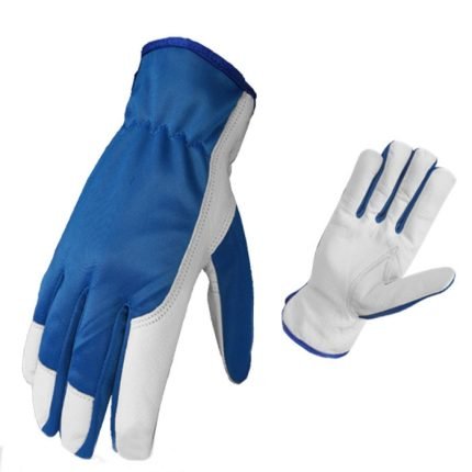 181188201 135 pic 3 430x430